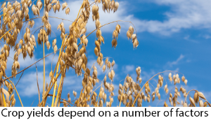 Organic Cereals Caption Image 3