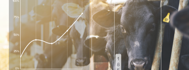 Digital Milk Map