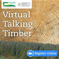 Virtual Talking Timber