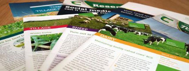 Publications