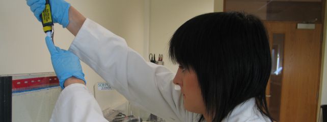 GM Research