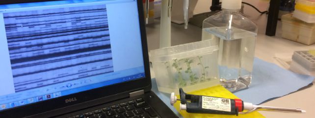 Genomics Research