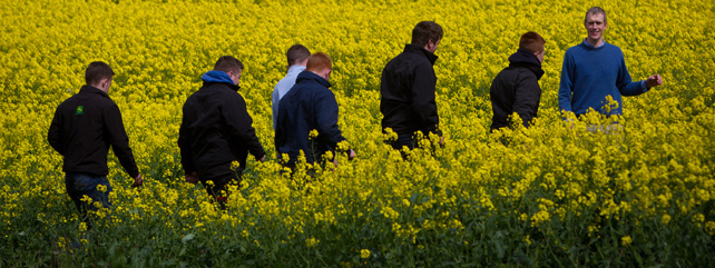 Agriculture 