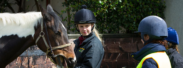 Careers / Student Profiles