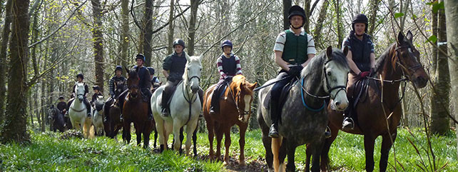 Equine Courses