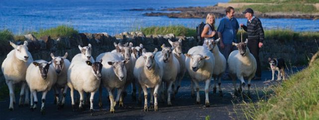 Rural Tourism