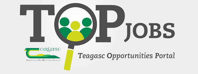 Top Jobs