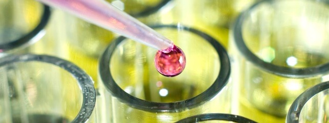 Research & Innovation