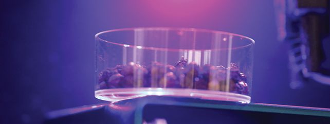 Advanced and Emerging Technologies