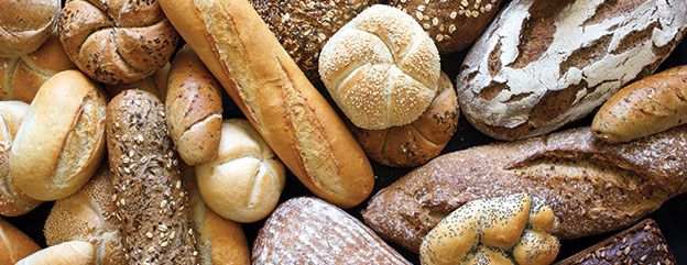 Cereal-based, Bakery and Snack Products Suite
