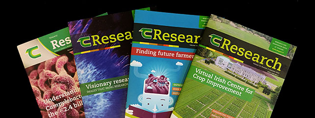 Reports & Publications