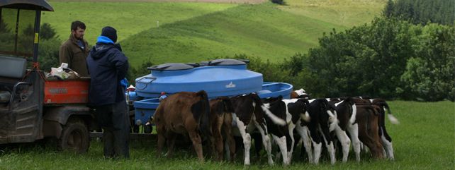 Dairy Careers