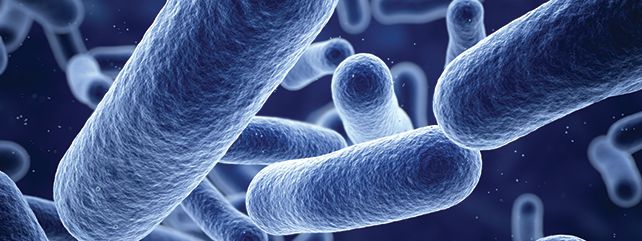 Microbial Safety and Shelf-life Suite