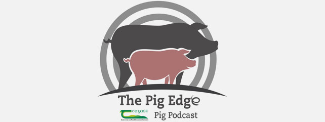 The Pig Edge Podcast