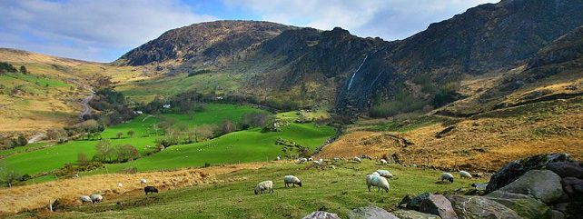 Rural Development Programme Research
