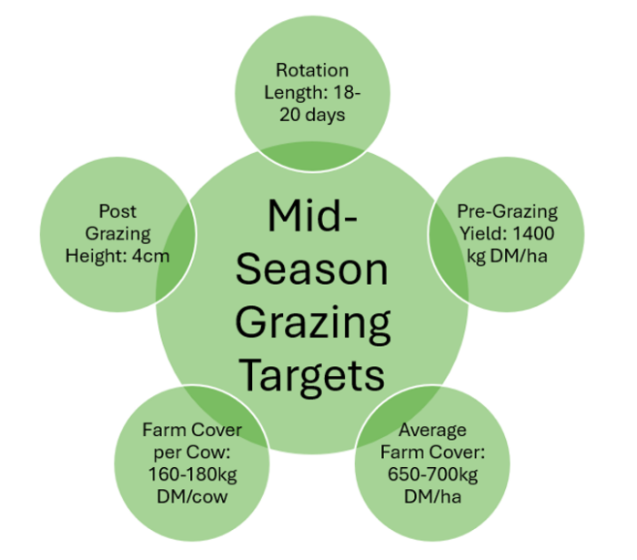 A chart showing key mid-season grazing targets for dairy farms: Key points: rotation length: 18-20 days Pre-grazing yield: 1400kg DM/ha Average farm cover: 650-700kg DM/ha Farm cover per cow: 160-180kg DM/cow Post-grazing height: 4cm