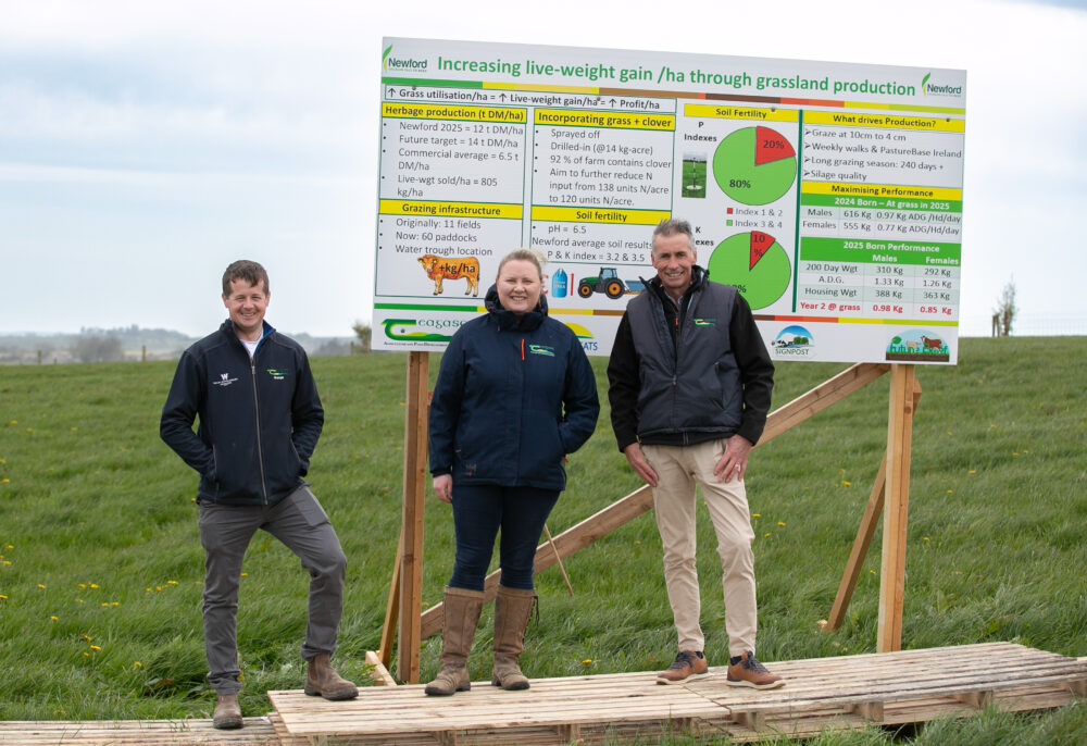 Speaking at the Newford Suckler Demonstration farm in Scrine, County Roscommon were Peter Doyle, Catherine Egan, and Michael Fagan of Teagasc.