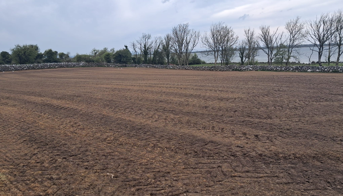 Reseeded paddock on Michael Forde's farm