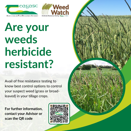A graphic with the following text: Are your weeds herbicide resistant? Avail of free resistance testing to know best control options to control your suspect weed (grass or broad-leaved) in your tillage fields. For further information, scan the QR code or contact your advisor.