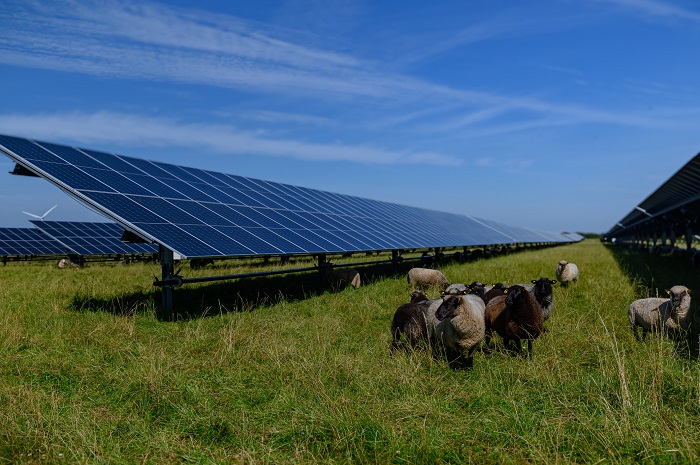 Is it viable to let land for solar projects?