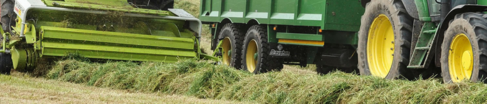 a forage harvester picking up silage
