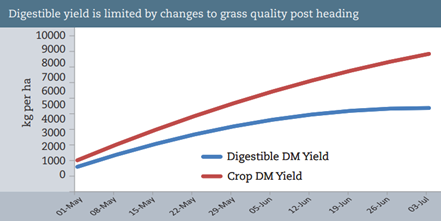 A graph showing that a cutting date progresses past heading date the digestible DM yield of grass silage falls