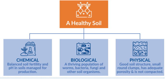 Diagram illustrating components of healthy soil, divided into three categories: Chemical, Biological, and Physical. Chemical focuses on balanced soil fertility and pH for production, Biological highlights thriving populations of worms, bacteria, fungi, and other organisms, and Physical emphasizes good soil structure with small round clumps, adequate porosity, and lack of compaction.