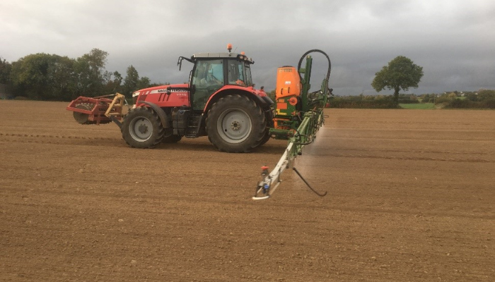 Cover image for Pre-emergence herbicides provide the best opportunity to control grass weeds in winter wheat and barley article