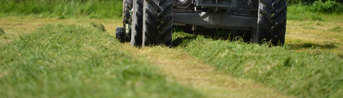 Silage being harvested at Teagasc Grange
