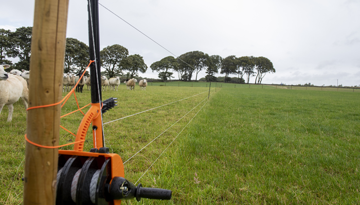 Polywire temporary fencing