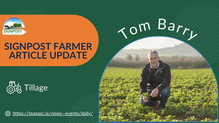 Signpost update: Reflections on a difficult spring with Tom Barry