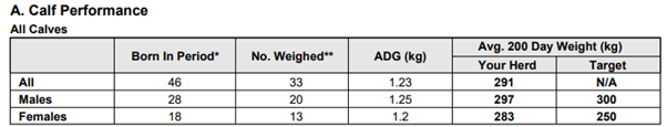 200 day weights for Olivia Hynes' calves 2025