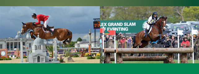 Equine Publications
