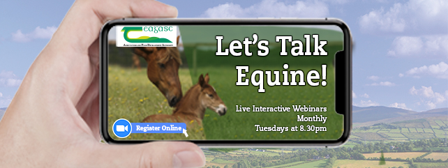 Let's Talk Equine Webinar Series
