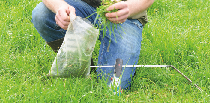 Teagasc Level 7 Farm Manager Apprenticeship Programme Open for Applications