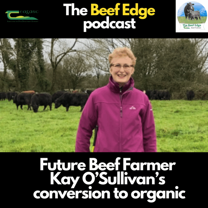 Future Beef farmer Kay O’Sullivan’s conversion to organic