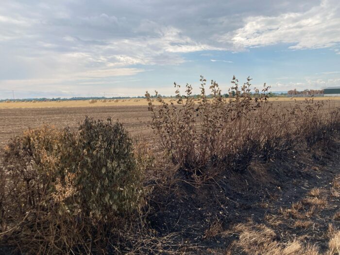 Stop harvest fire risk
