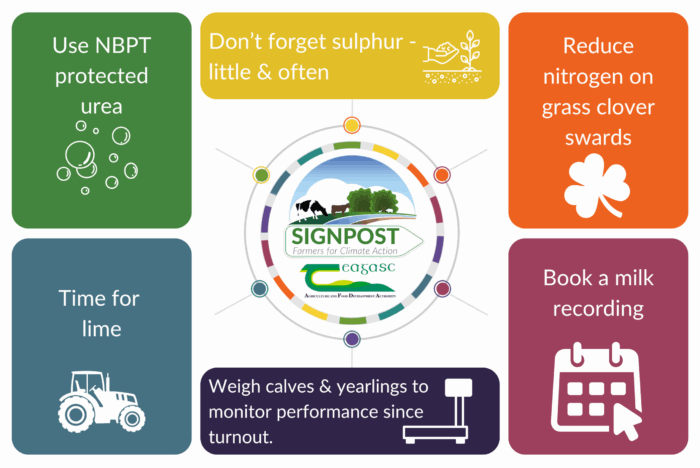 A graphic featuring the following recommendations: Use NBPT protected urea, Don't forget sulphur - little and often, Reduce nitrogen on grass clover swards, Book a milk recording, Weigh calves and yearlings to monitor performance since turnout, Apply lime.