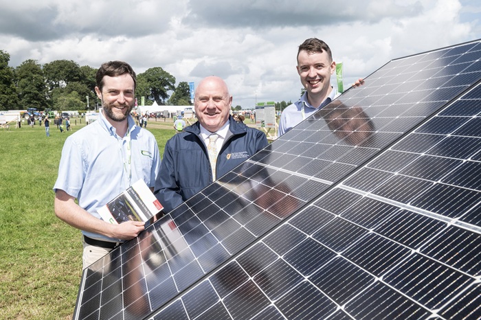 All dairy farmers need to know about solar