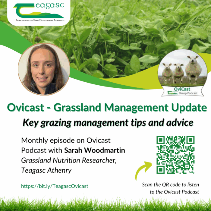 OviCast: July grass update with Sarah Woodmartin