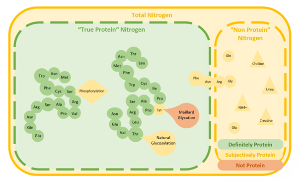 A complex graph providing chemical symbols for the true protein and non protein nitrogen fractions in milk