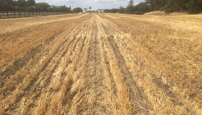 A refresher on stubble cultivation rules and glyphosate label changes