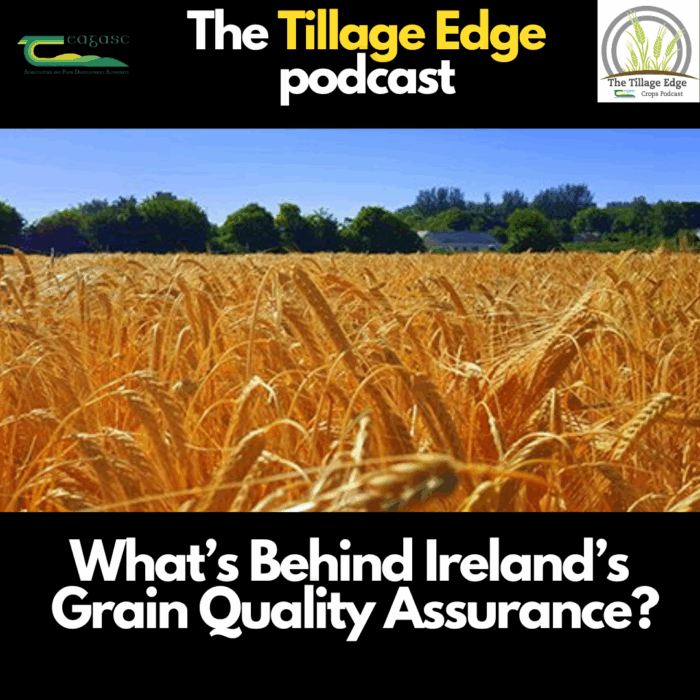 Tillage Edge: What’s behind Ireland’s Grain Quality Assurance?