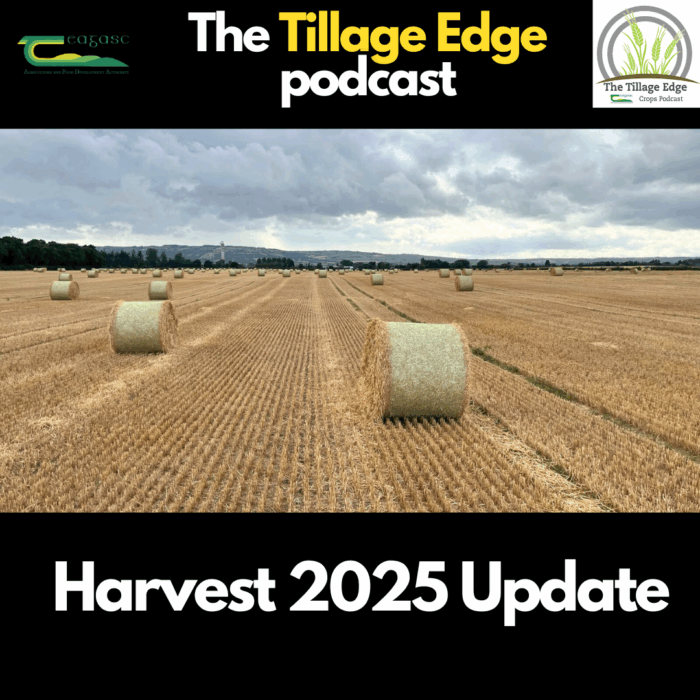 Tillage Edge: Harvest 2025 update