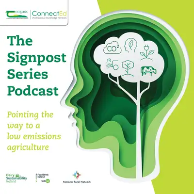 Listen: The vital role of catch crops