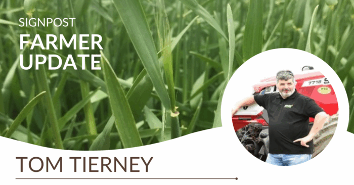 Tom Tierney’s ‘Farming for Water’ EIP actions