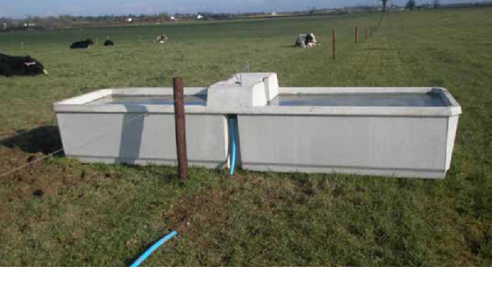 Supplying enough water to dairy cows