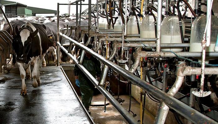 The top 10 questions farmers ask about hiring farm employees