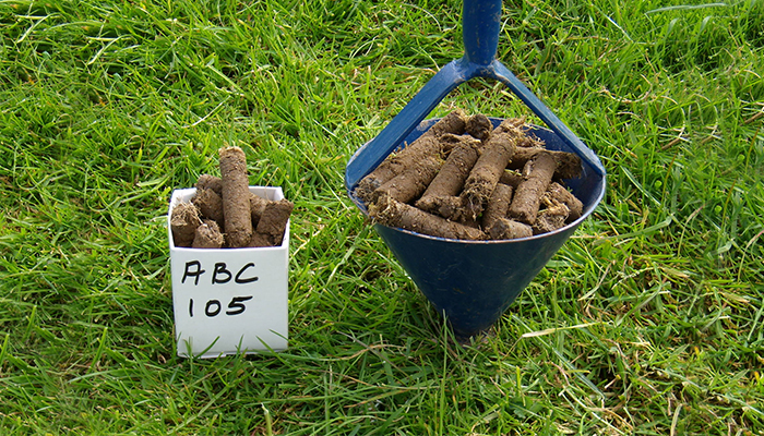 More grass and reduced fertiliser bills – why soil fertility matters to this Future Beef farm