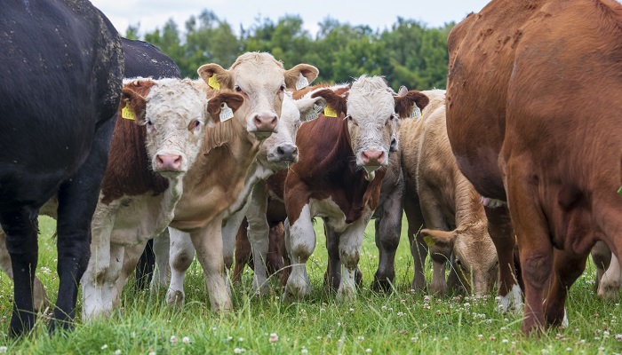 Have you signed up to the National Genotyping Programme?